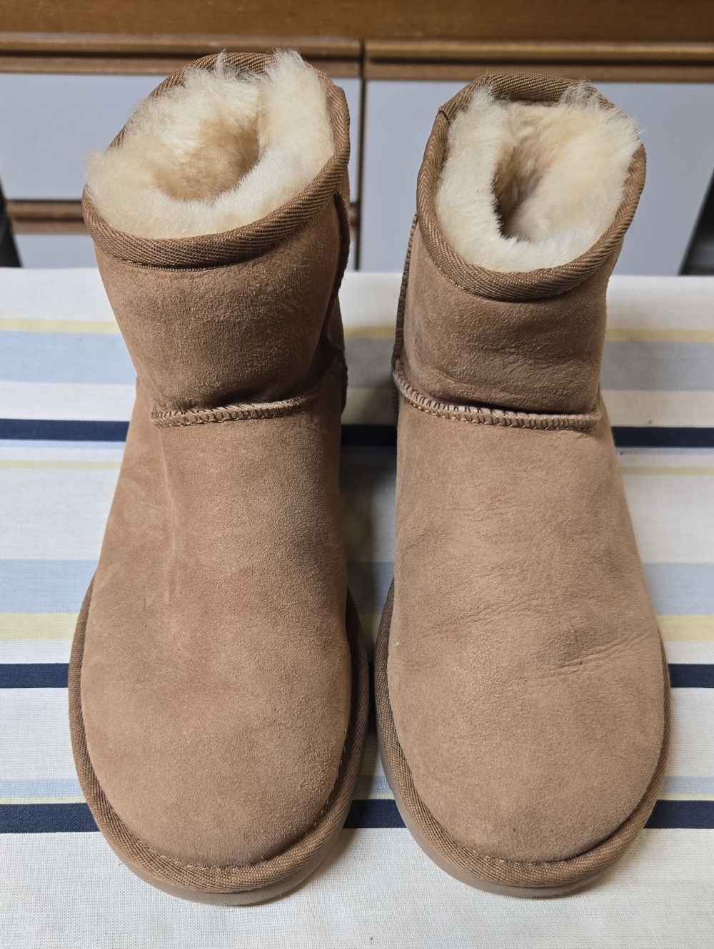 Ugg Cozy Suede Winter Boots in Chestnut